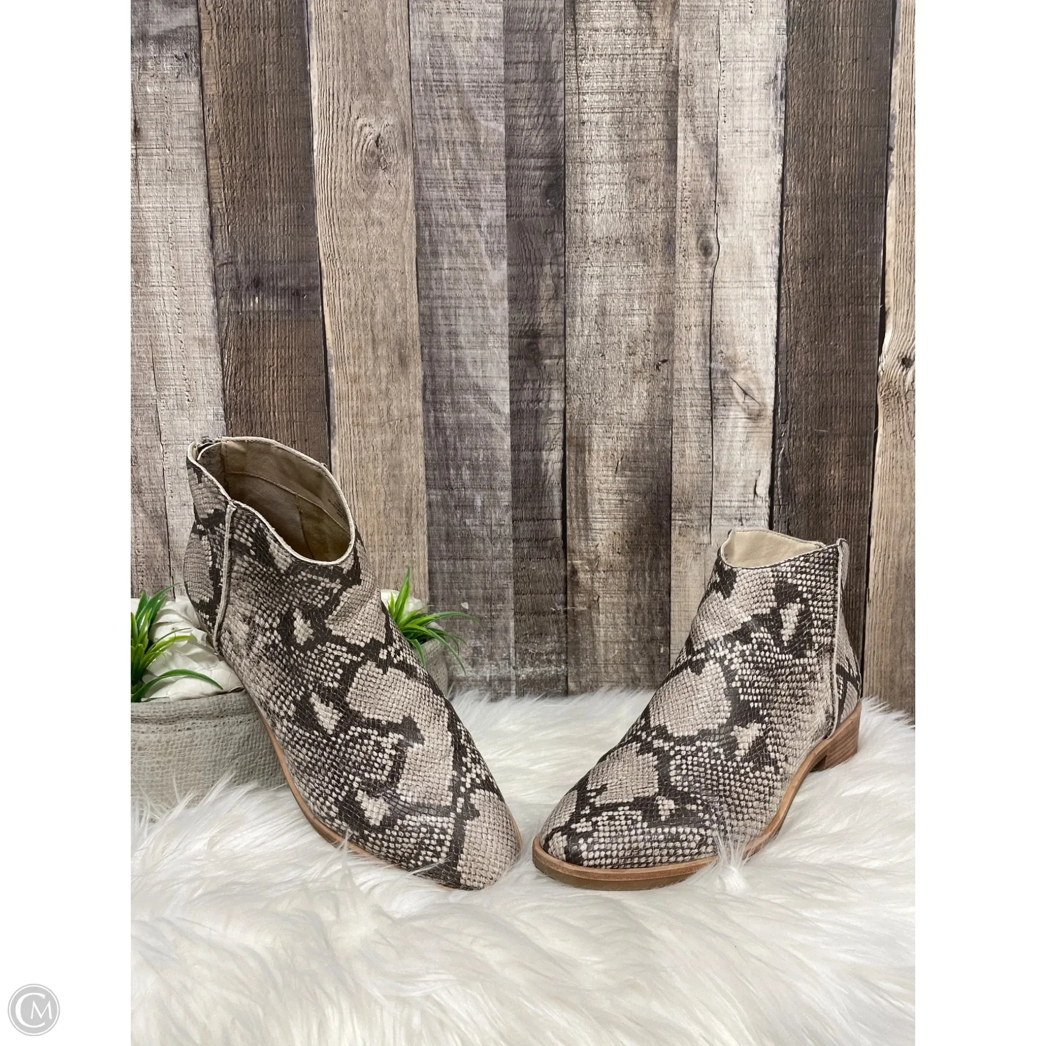 Boots Ankle Heels By Dolce Vita In Snakeskin Print, Size: 11