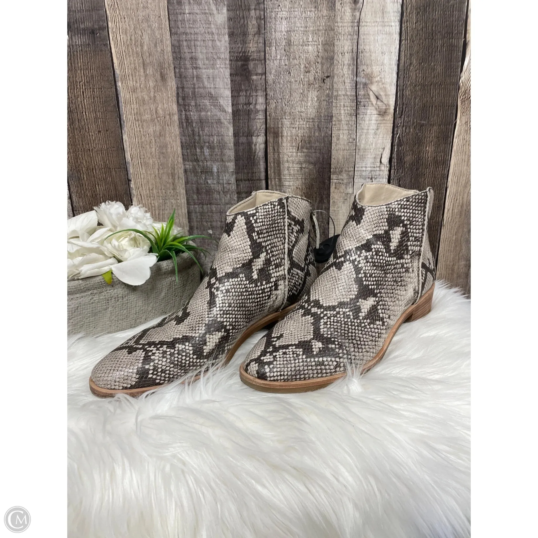 Boots Ankle Heels By Dolce Vita In Snakeskin Print, Size: 11