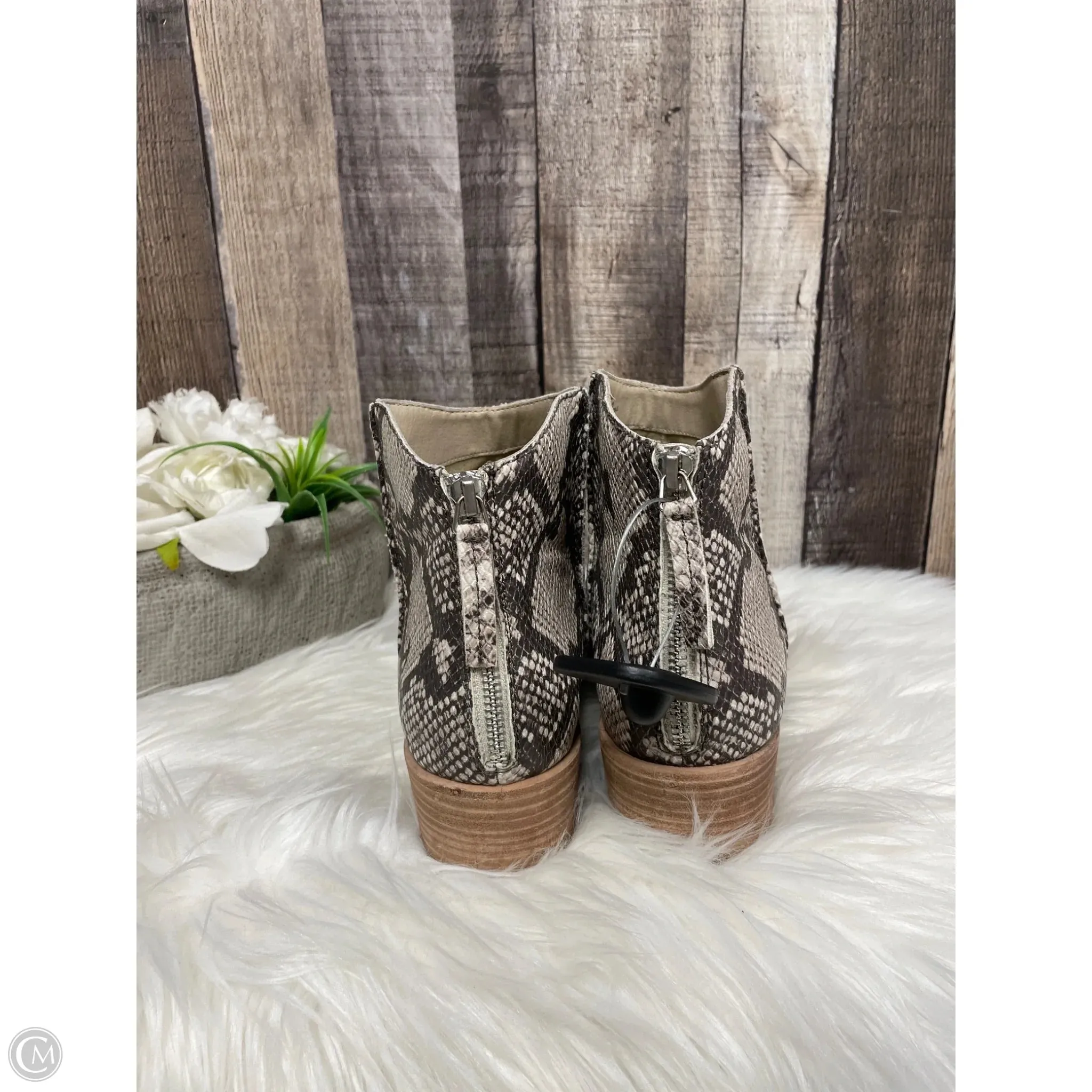 Boots Ankle Heels By Dolce Vita In Snakeskin Print, Size: 11