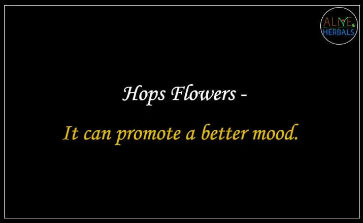 Hops Flowers