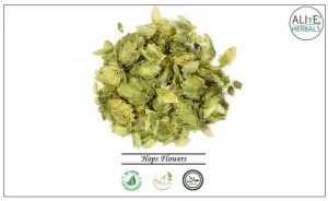 Hops Flowers