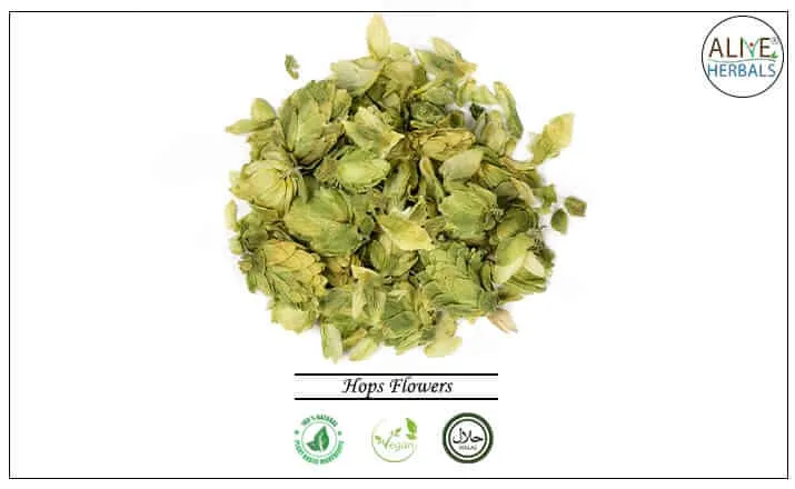 Hops Flowers