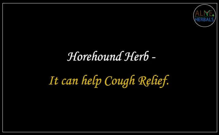 Horehound Herb