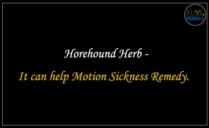 Horehound Herb