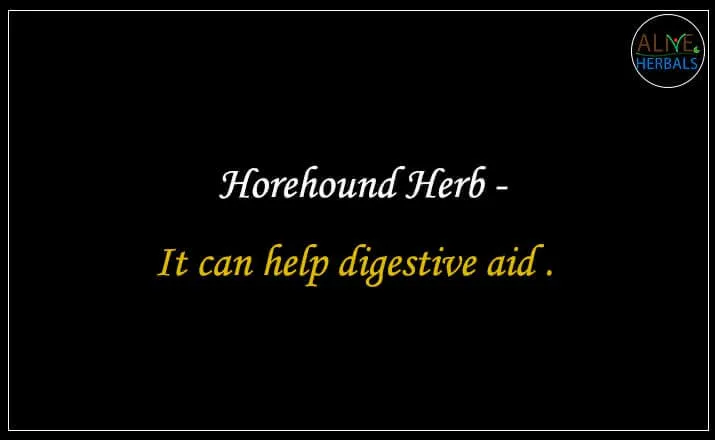 Horehound Herb
