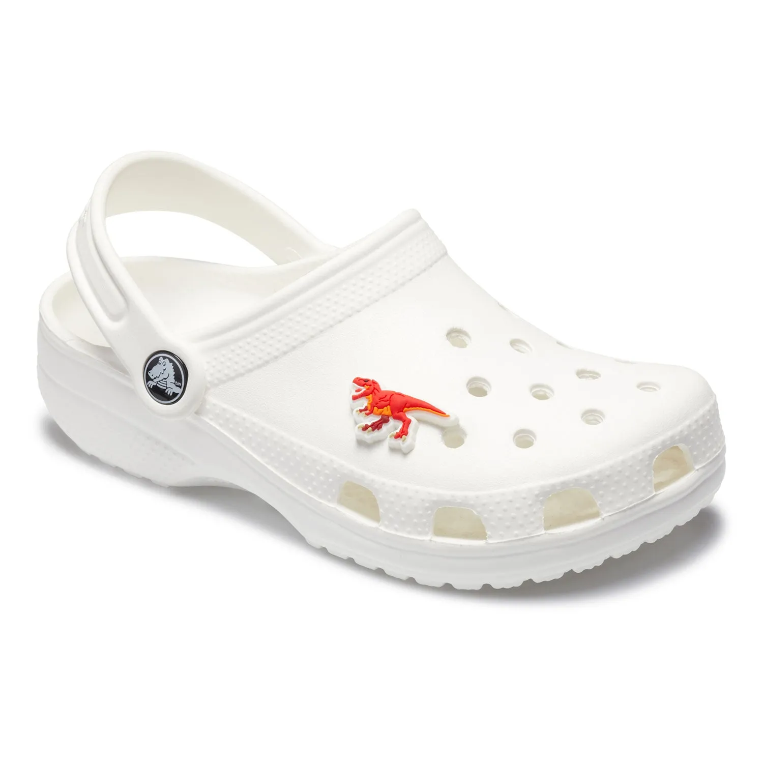 T Rex Dinosaur Jibbitz