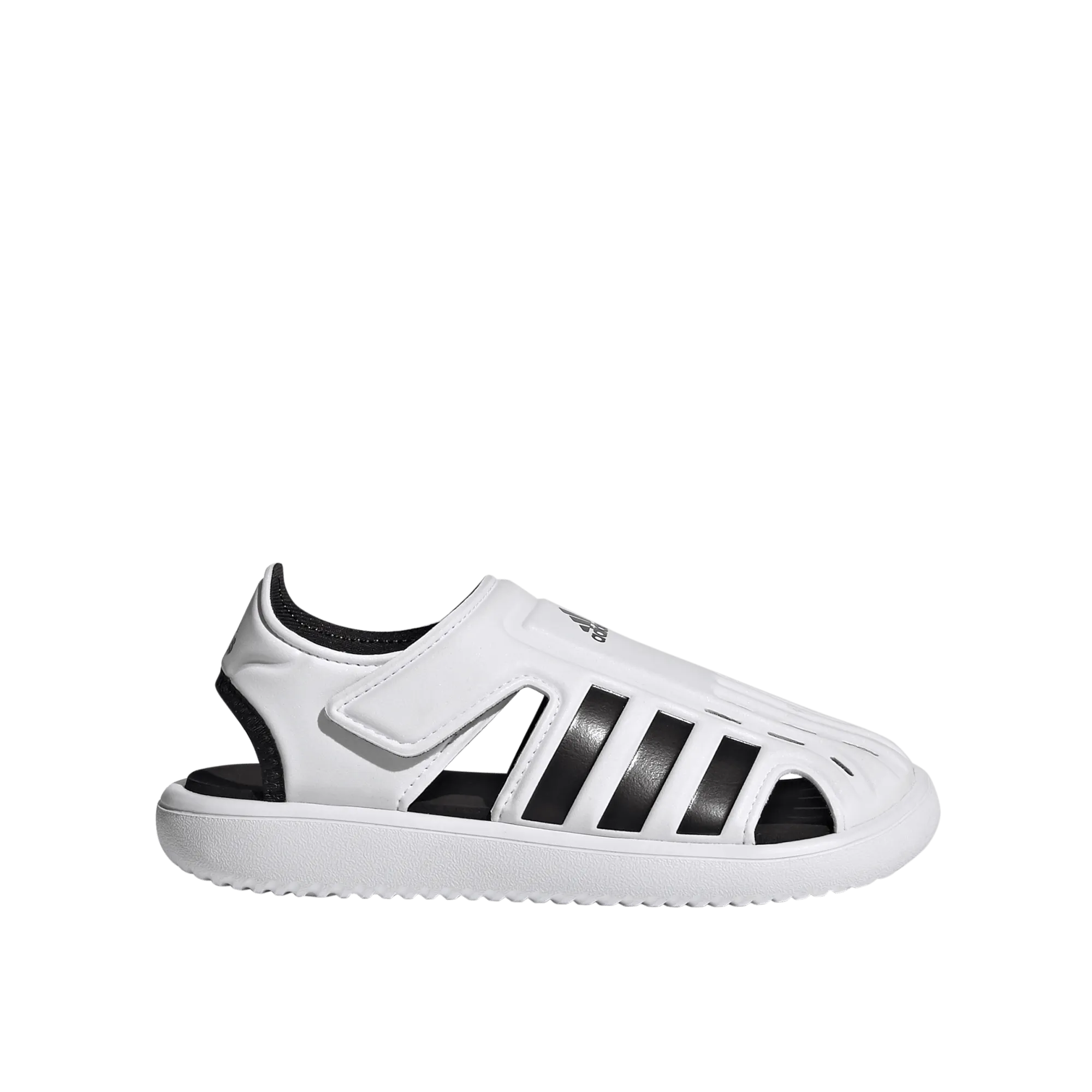 Water Sandal C
